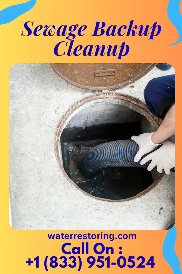 Sewage Backup Cleanup in Carroll, NE