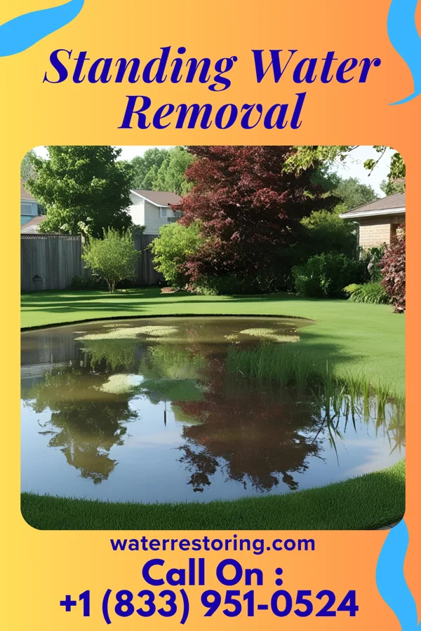 Standing Water Removal in Carroll, NE